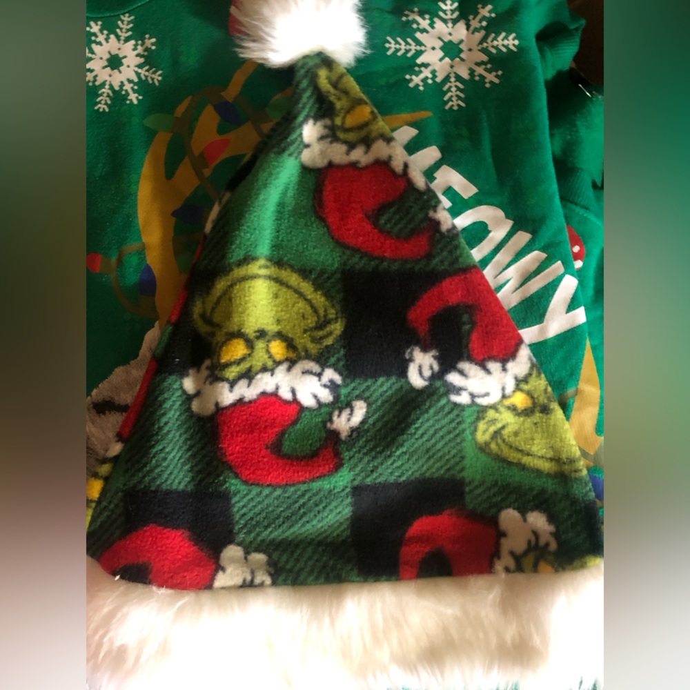 GRINCH SANTA HAT